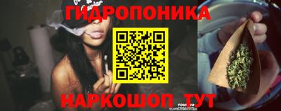скорость Кингисепп