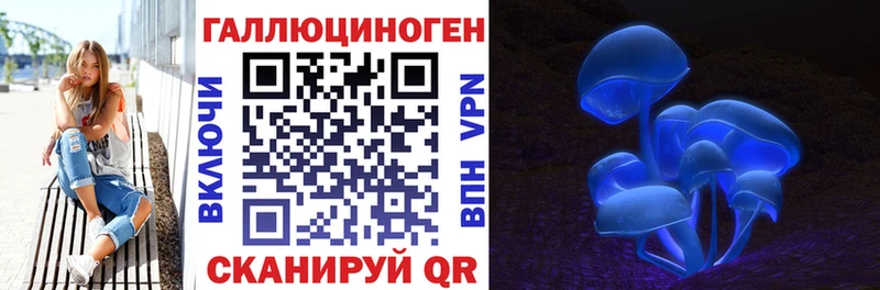 Галлюциногенные грибы Psilocybine cubensis Туапсе