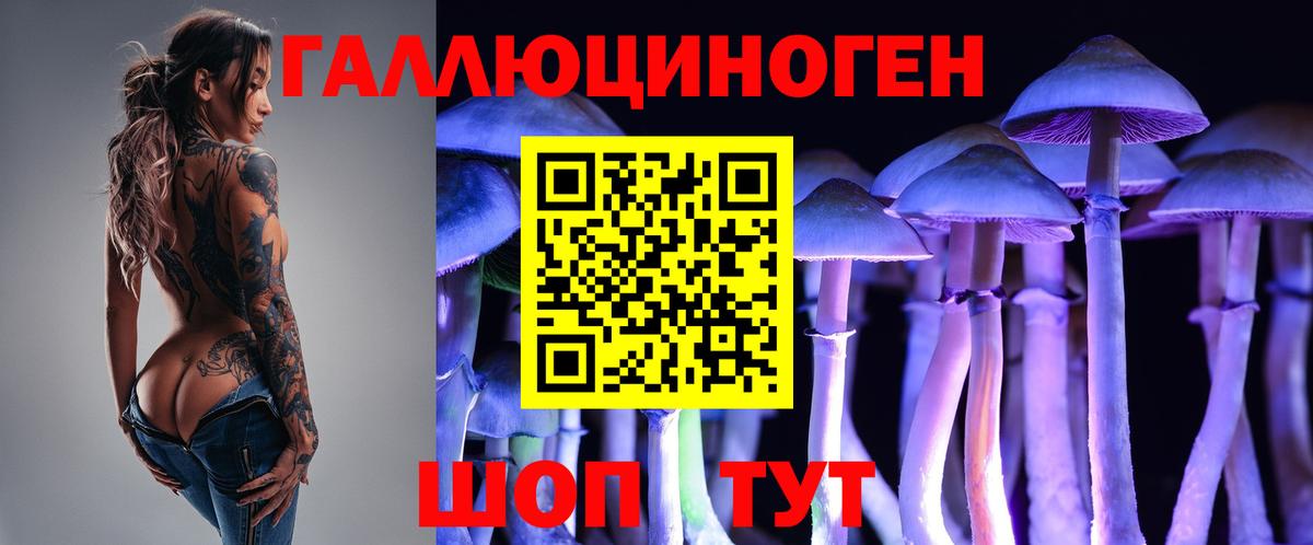 Галлюциногенные грибы GOLDEN TEACHER  Псилоцибиновые грибы Psilocybe  Вход с VPN  Туапсе 